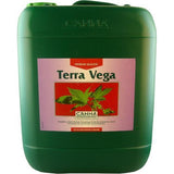 Canna Terra Vega