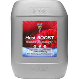 Hesi Boost