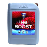 Hesi Boost