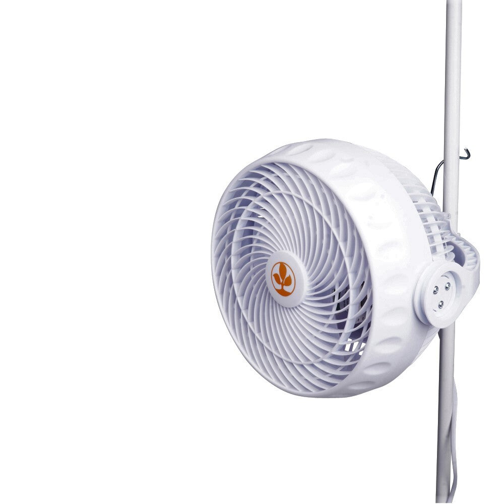 Secret Jardin - Monkey Fan 30W